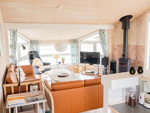 TV, fireplace, DVD player
