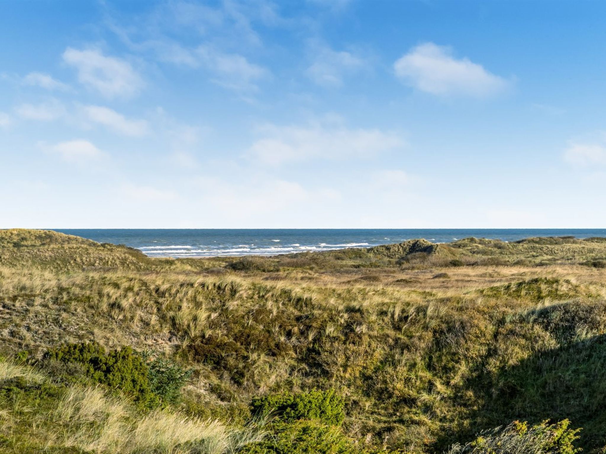 Et kystlandskab med klitter og havet i baggrunden.