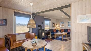 TV, peis og DVD-spiller