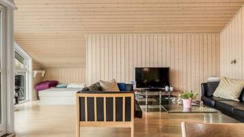 TV, peis og DVD-spiller