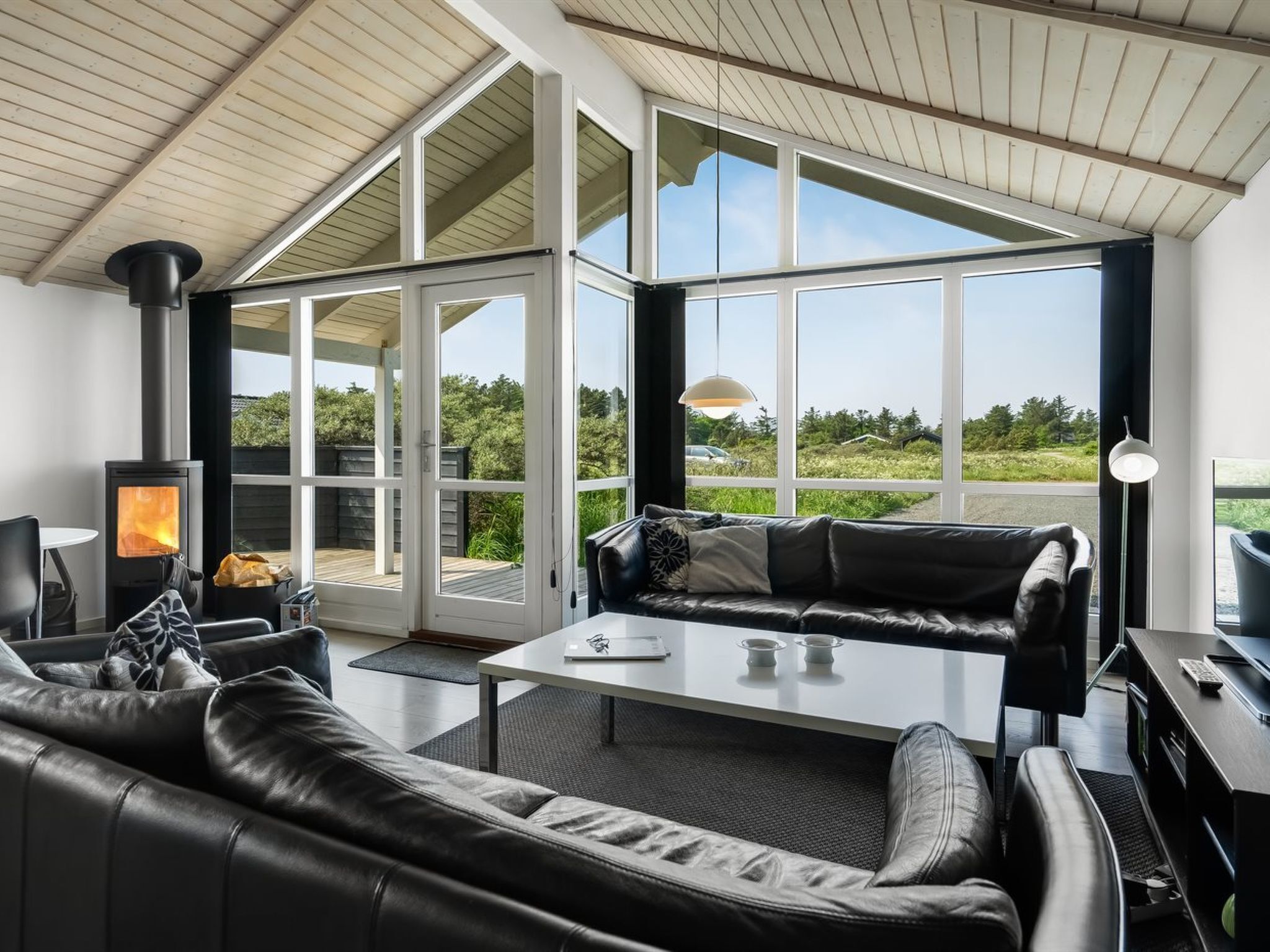 Télévision, cheminée, lecteur de DVD