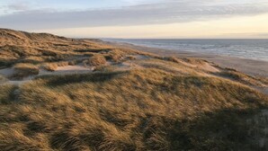 Un paysage côtier avec des dunes et une plage.