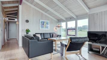 Fernseher, Kamin, DVD-Player