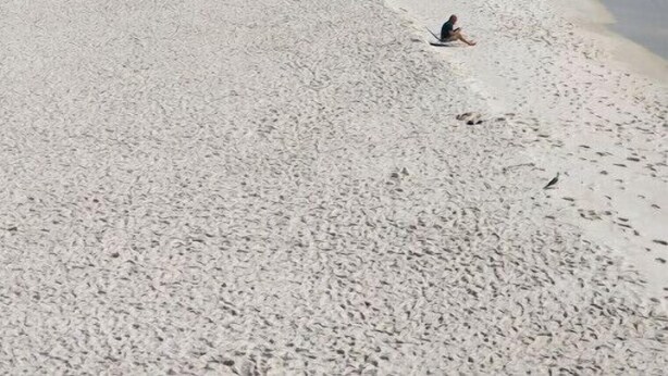 Une vaste plage de sable où l’on peut voir des gens se prélasser au soleil et se baigner dans l’océan.