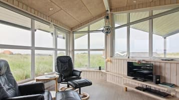 Fernseher, Kamin, DVD-Player