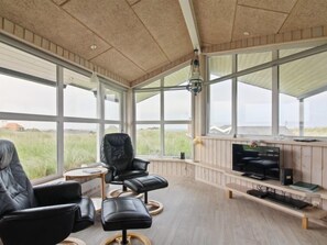 Tv, pejs, dvd-afspiller