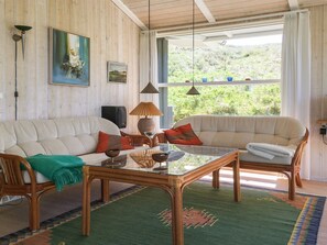 تلفزيون، مدفأة