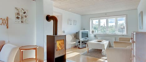 Una televisión, una chimenea, un reproductor de DVD