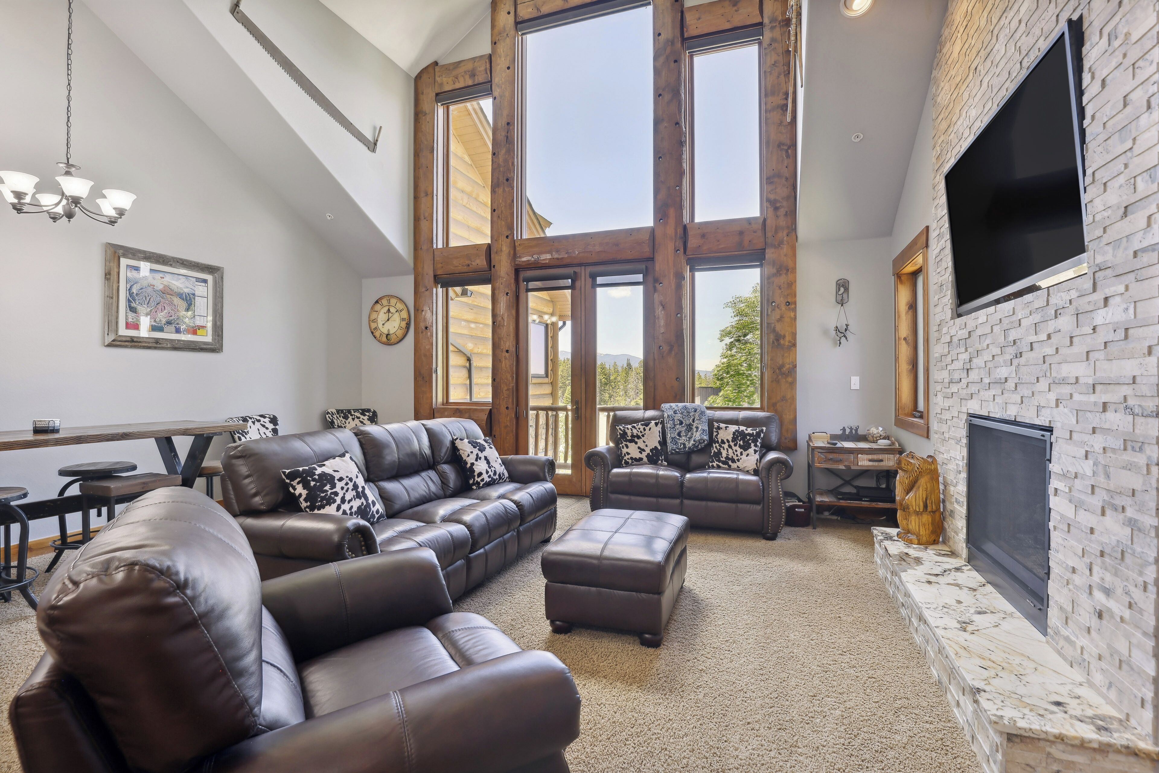 TV, fireplace, DVD player, books