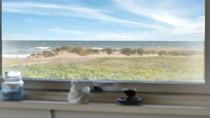A view through a window of a beach with sand dunes and vegetation.