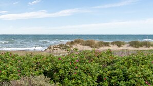 A beach with dunes and vegetation in the foreground, leading to the ocean.