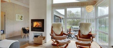 電視、壁爐、DVD 播放機