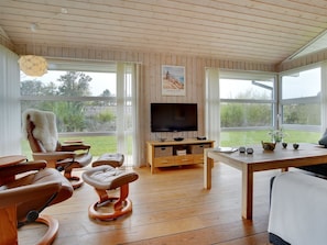 Tv, pejs, dvd-afspiller