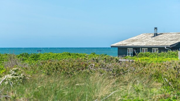 Une maison située sur la côte, avec une façade en bois et une cheminée, entourée d’une végétation luxuriante et offrant une vue sur l’océan.