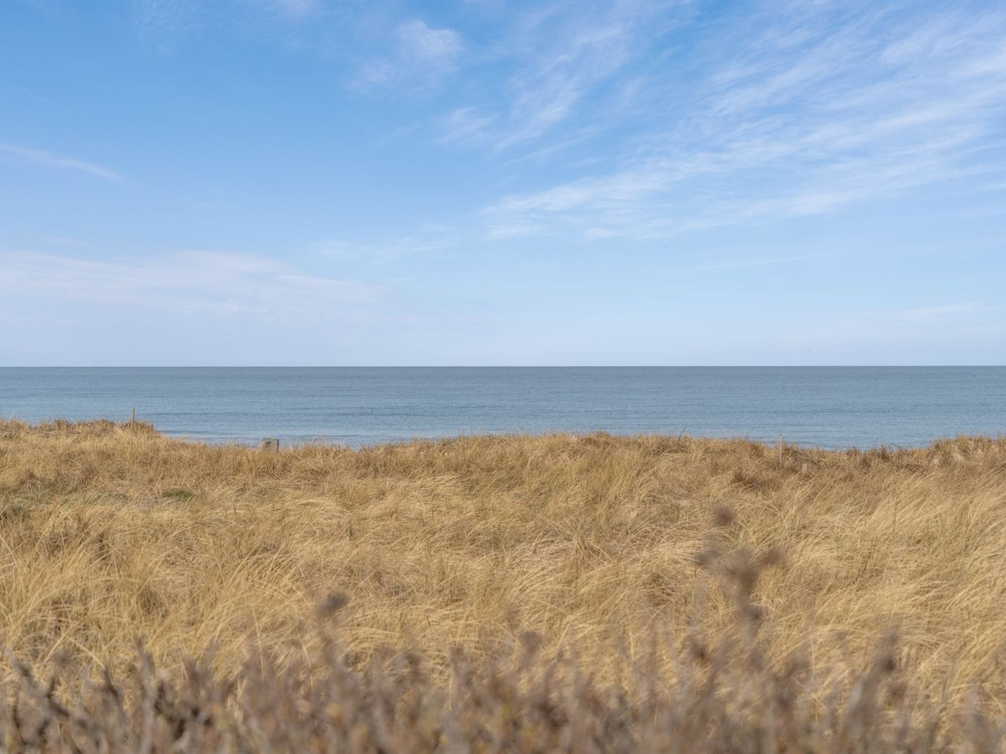 Ein Strand mit trockenem Gras im Vordergrund und einem klaren Himmel.