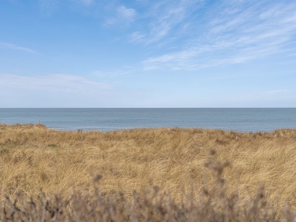 Une plage avec de l’herbe sèche au premier plan et un ciel dégagé.