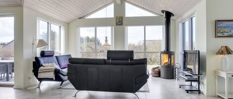 TV, fireplace, DVD player