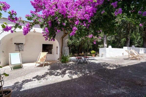 An outdoor patio with a table and chairs, a potted plant, and a white building with arches.