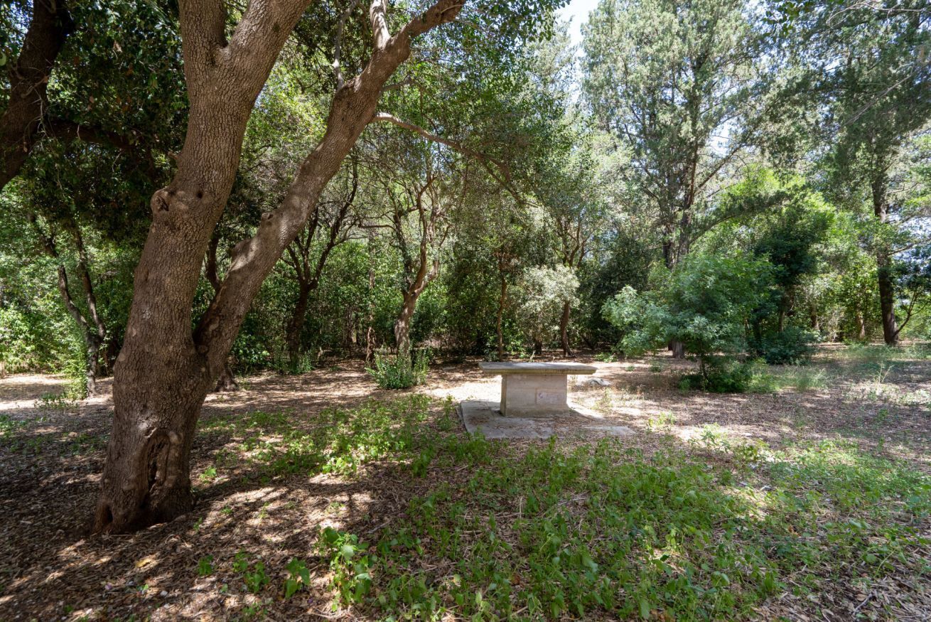 المنطقة المحيطة بالمنشأة