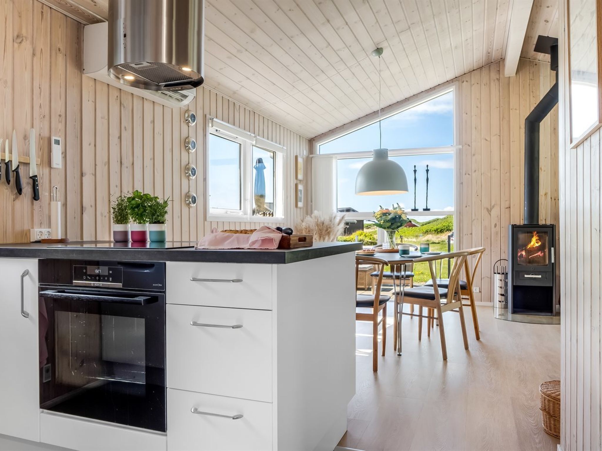 Fridge, dishwasher, cookware/dishes/utensils