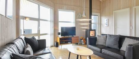 TV, fireplace, DVD player