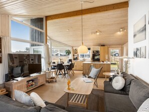TV, fireplace - "Zafirka" - 364m from the sea by Interhome (Hjørring)