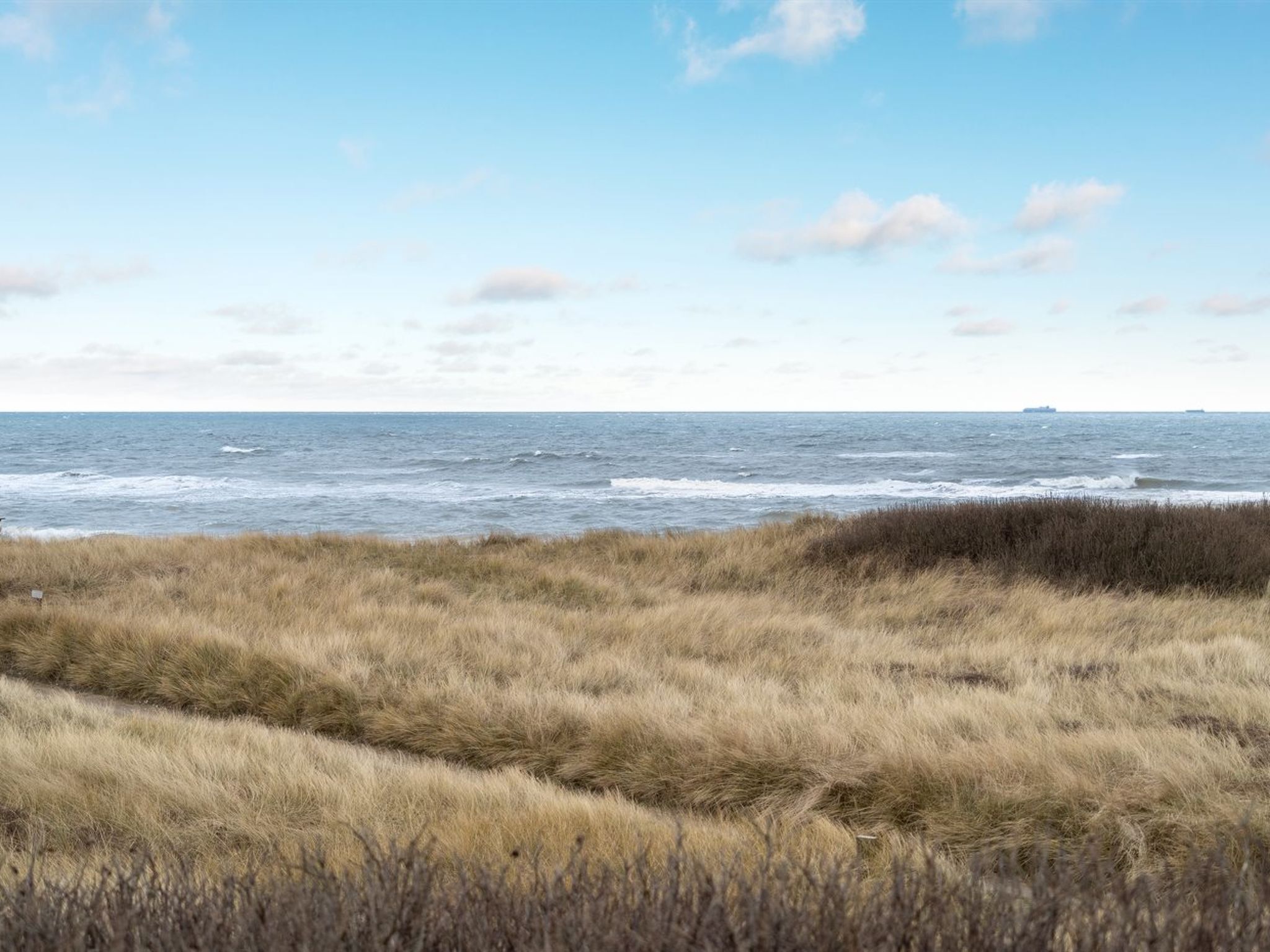 A coastal landscape with grassy dunes and the ocean in the background.