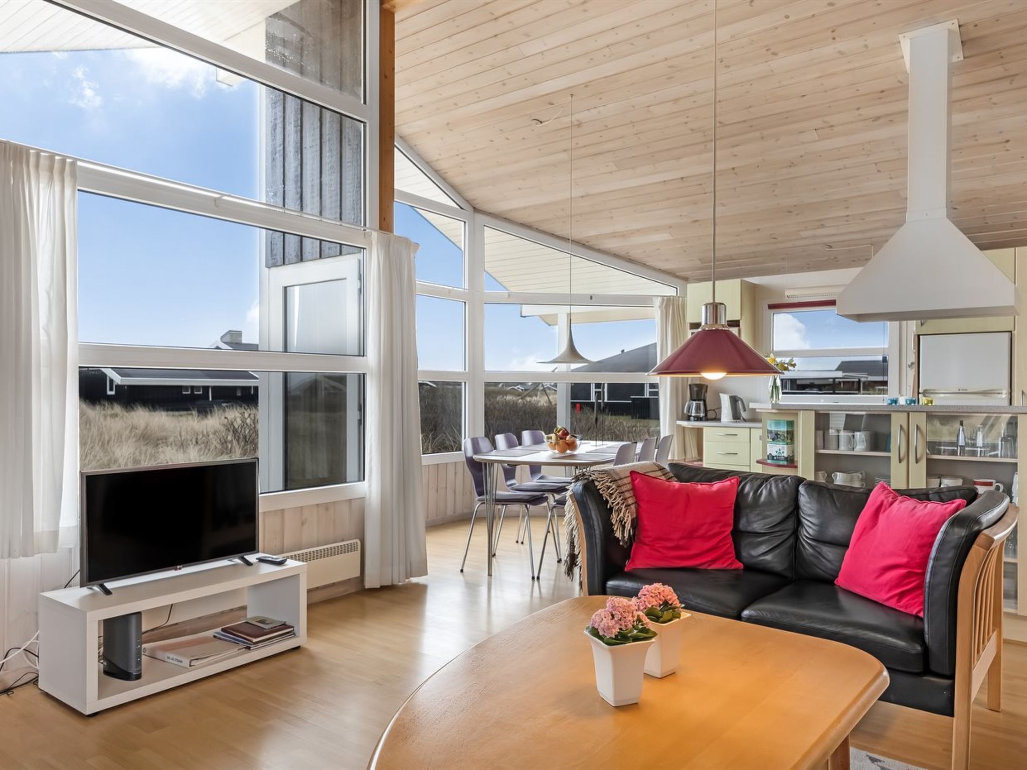 تلفزيون، مدفأة، مشغل دي في دي