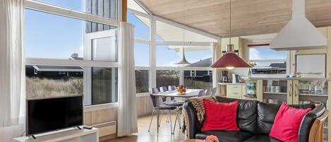 تلفزيون، مدفأة، مشغل دي في دي