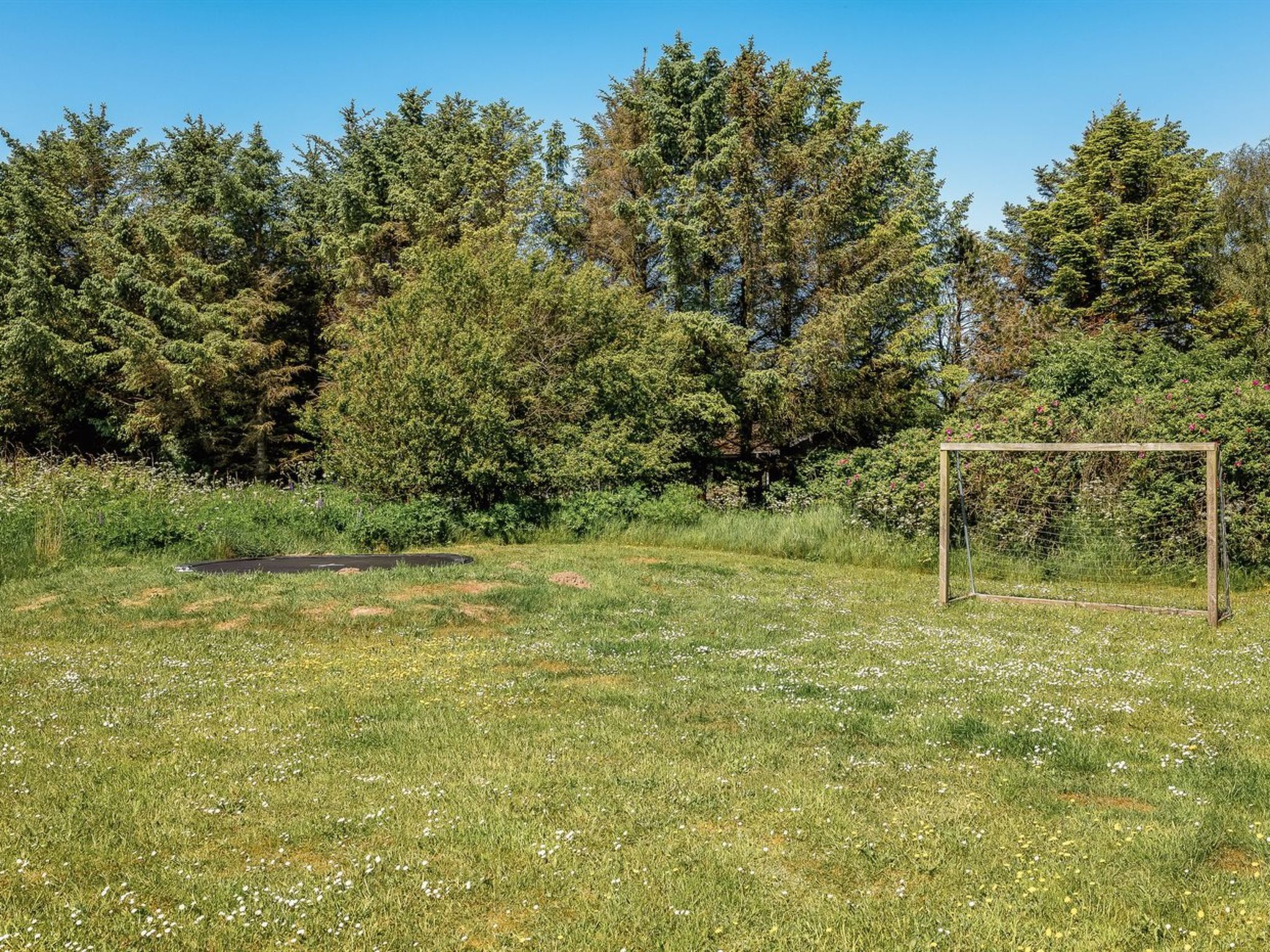 Ein grünes Feld mit einem Tor und Bäumen im Hintergrund.
