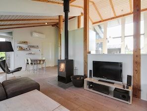 TV, fireplace, DVD player