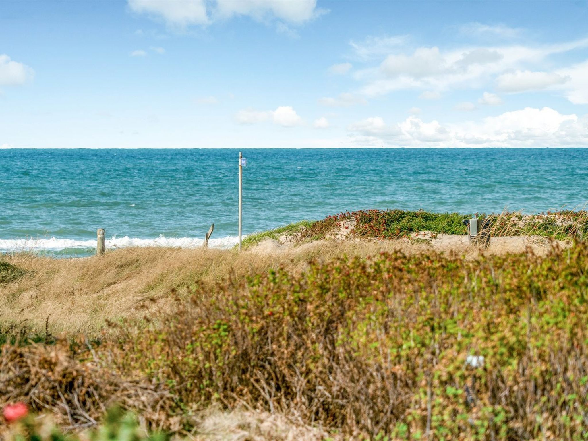 A coastal landscape with a sandy beach, a grassy area, and a view of the ocean.