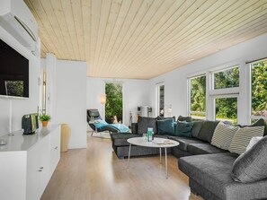 TV, fireplace, DVD player