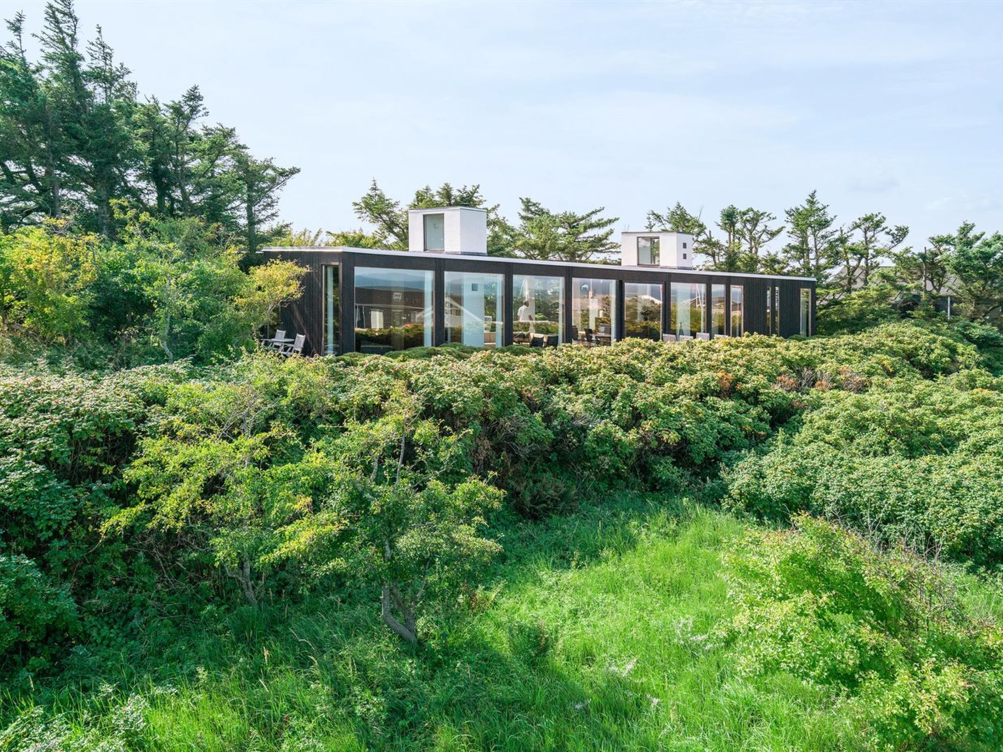Une maison moderne à la façade en verre, entourée d’une végétation luxuriante.