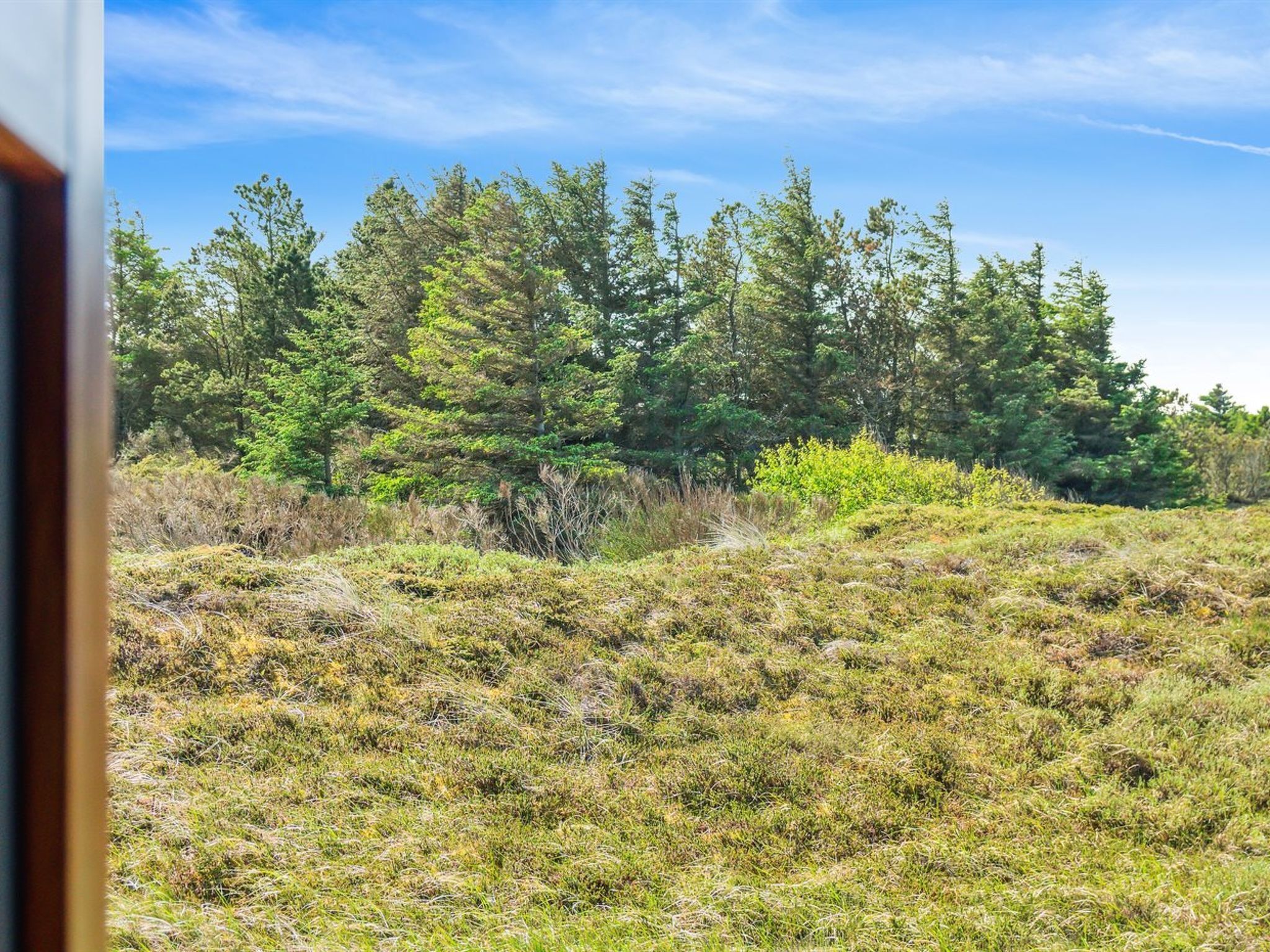 Un paysage naturel caractérisé par une grande diversité d’arbres et d’arbustes.