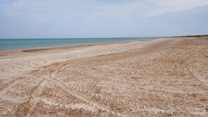 Une vaste plage de sable où l’on peut voir des traces de pneus, qui mènent à une mer calme sous un ciel dégagé.