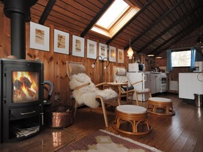 تلفزيون، مدفأة