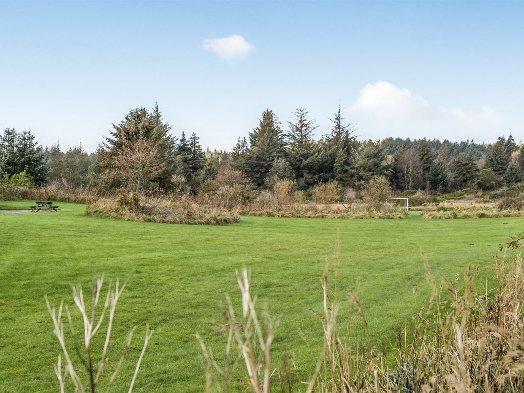 A grassy field with a picnic table and a soccer goal.