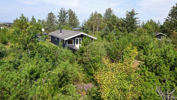 A modern house surrounded by dense forest. - "Asmo" - 350m from the sea by Interhome (Fjerritslev)