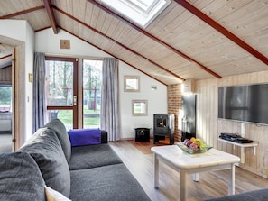 TV, fireplace, DVD player