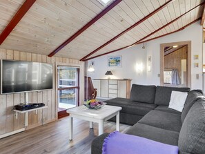 TV, fireplace, DVD player