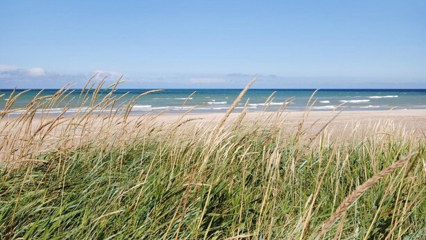 Een strand met heldere lucht en golven.