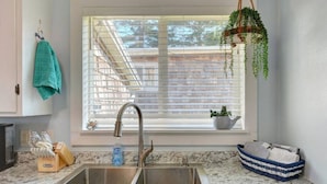 A kitchen with a double sink, a window with blinds, a hanging plant, and a potted plant on the windowsill.