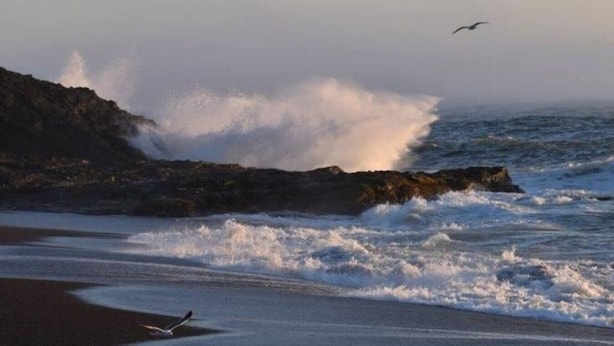 A beach with waves crashing against rocks and a bird flying in the sky.