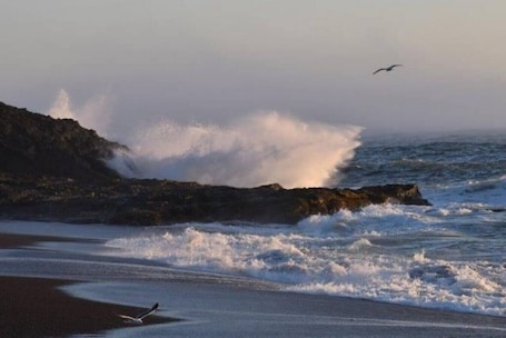 Beach. Oregon Coast, Port Orford, Cabin - Walk to Beaches