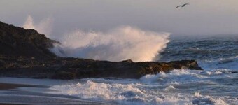 Oregon Coast, Port Orford, Cabin - Walk to Beaches