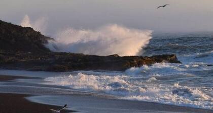 Oregon Coast, Port Orford, Cabin - Walk to Beaches