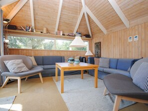 TV, fireplace, DVD player