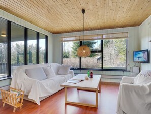 تلفزيون، مدفأة