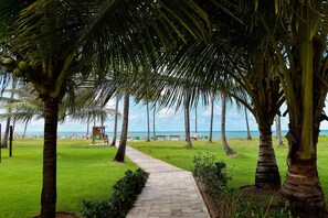 Un camino que lleva a una zona de playa con palmeras y vista al océano.